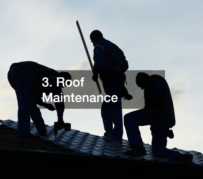 roof maintenance